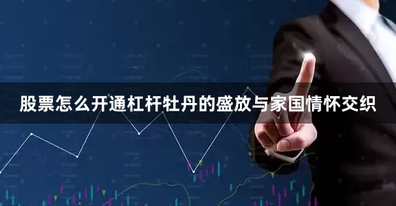 股票怎么开通杠杆牡丹的盛放与家国情怀交织