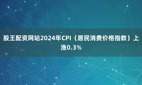 股王配资网站2024年CPI（居民消费价格指数）上涨0.3%
