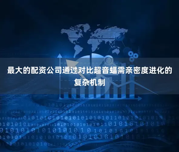 最大的配资公司通过对比超音蝠需亲密度进化的复杂机制