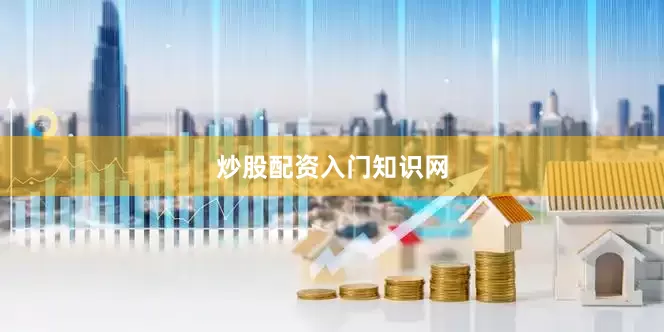 炒股配资入门知识网