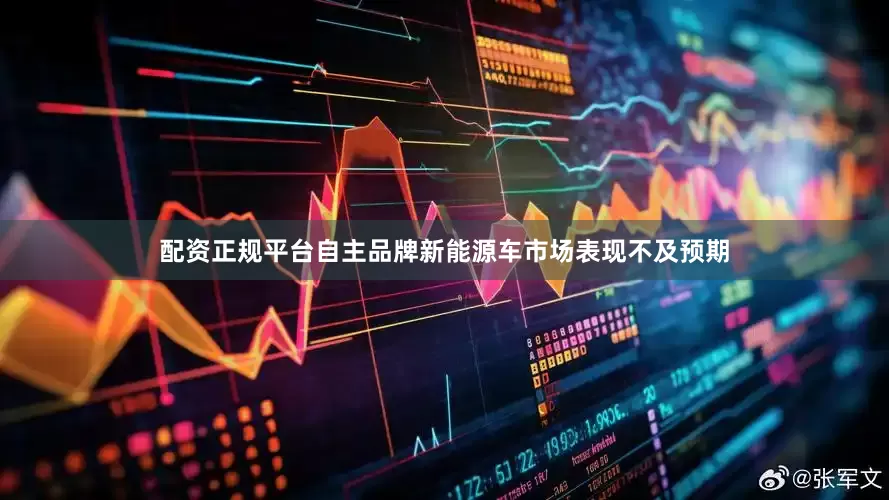 配资正规平台自主品牌新能源车市场表现不及预期